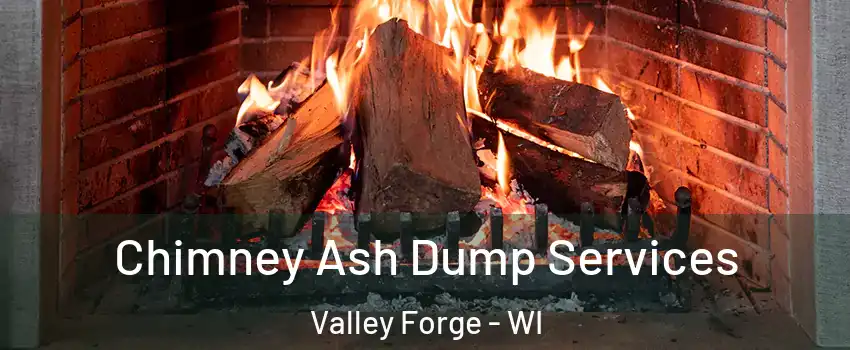 Chimney Ash Dump Services Valley Forge - WI