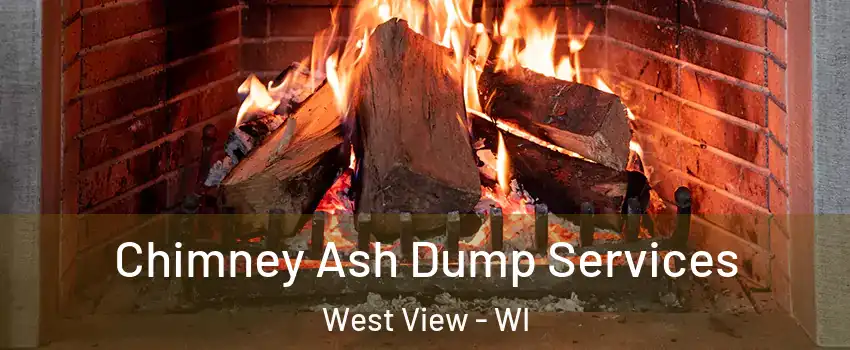 Chimney Ash Dump Services West View - WI