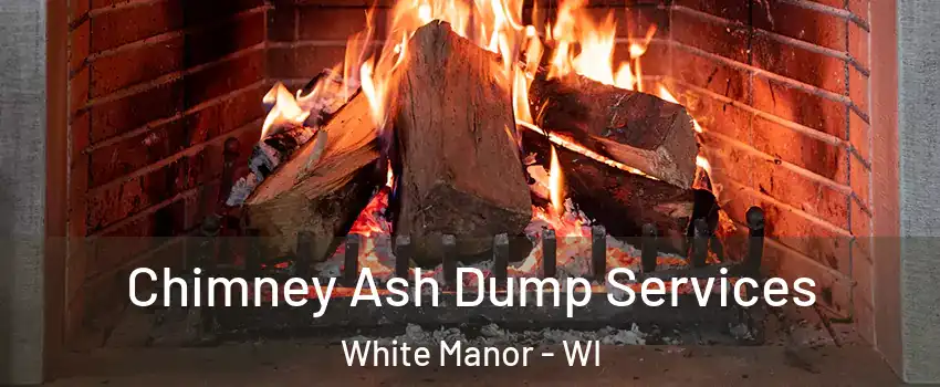 Chimney Ash Dump Services White Manor - WI