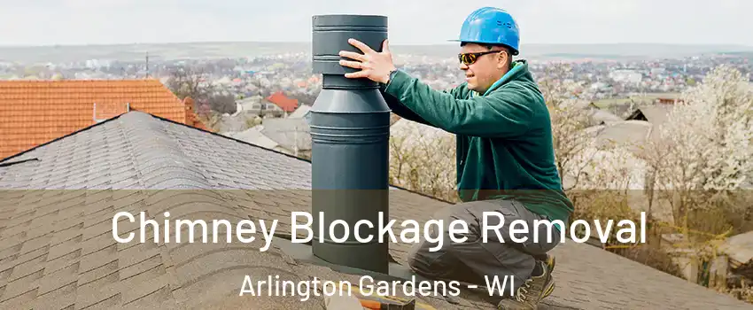 Chimney Blockage Removal Arlington Gardens - WI