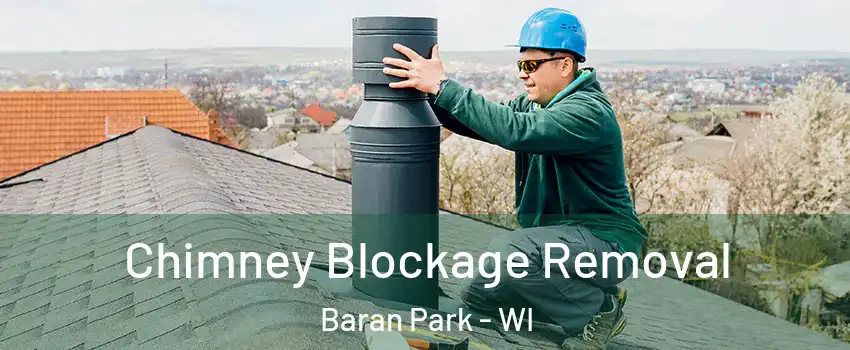 Chimney Blockage Removal Baran Park - WI