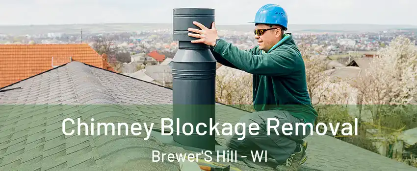 Chimney Blockage Removal Brewer'S Hill - WI