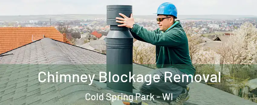 Chimney Blockage Removal Cold Spring Park - WI