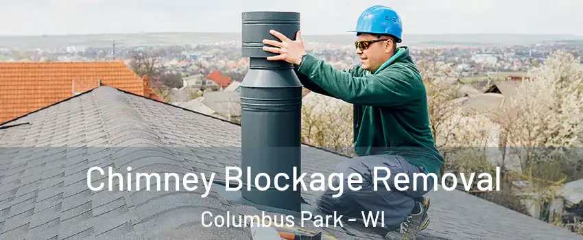 Chimney Blockage Removal Columbus Park - WI