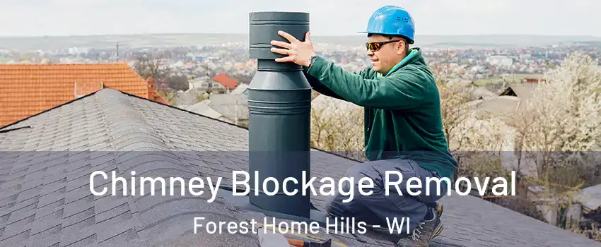 Chimney Blockage Removal Forest Home Hills - WI