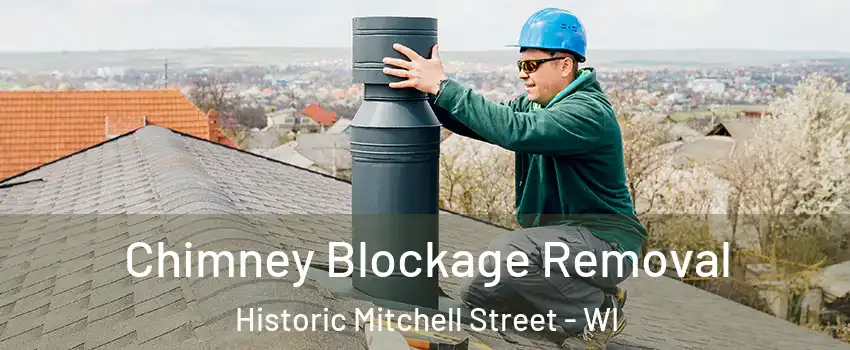 Chimney Blockage Removal Historic Mitchell Street - WI