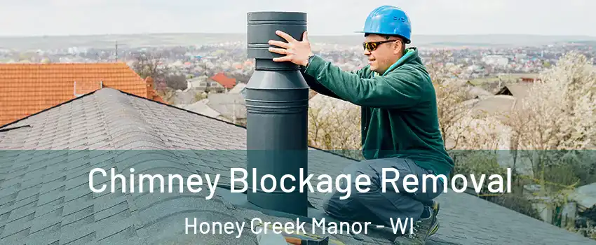 Chimney Blockage Removal Honey Creek Manor - WI