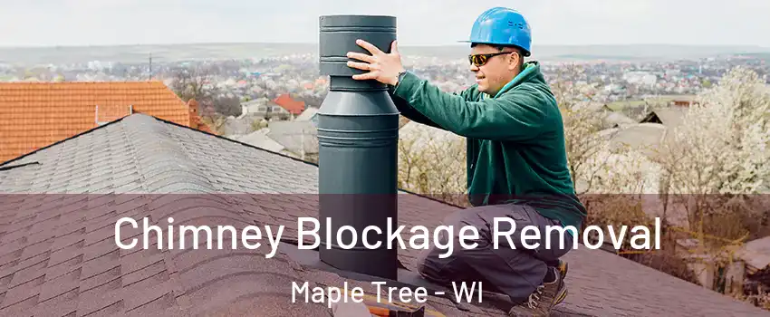 Chimney Blockage Removal Maple Tree - WI