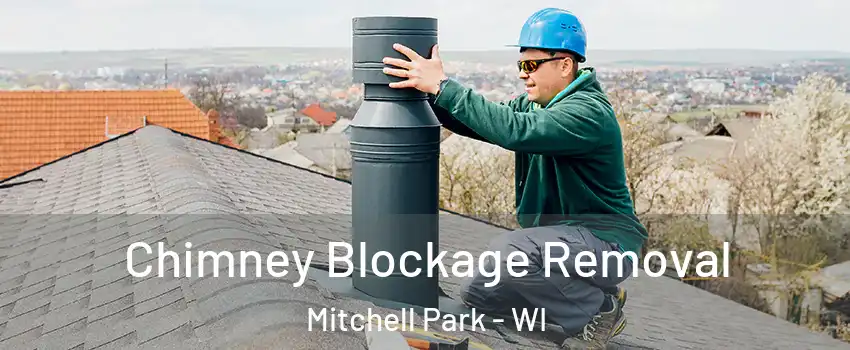 Chimney Blockage Removal Mitchell Park - WI