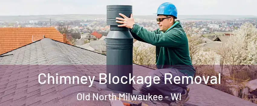 Chimney Blockage Removal Old North Milwaukee - WI