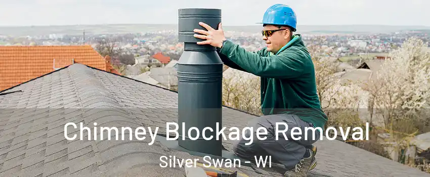 Chimney Blockage Removal Silver Swan - WI