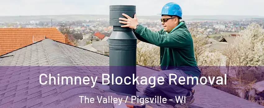 Chimney Blockage Removal The Valley / Pigsville - WI