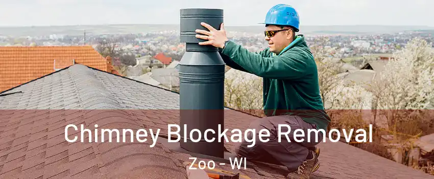 Chimney Blockage Removal Zoo - WI