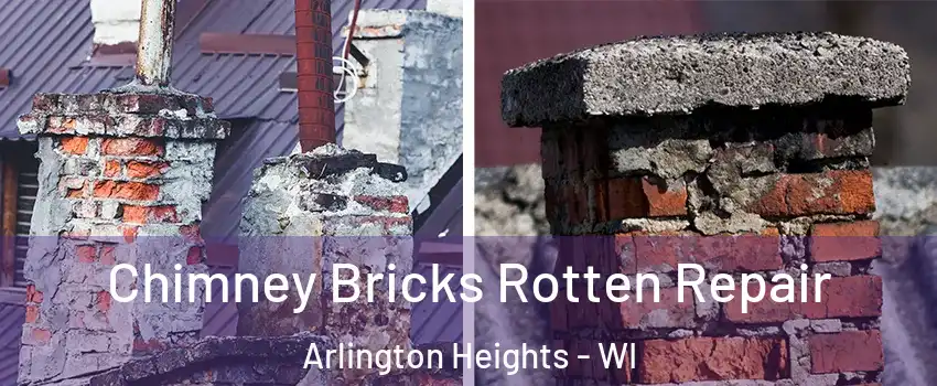 Chimney Bricks Rotten Repair Arlington Heights - WI