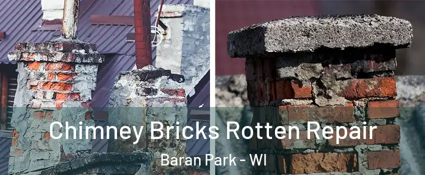 Chimney Bricks Rotten Repair Baran Park - WI