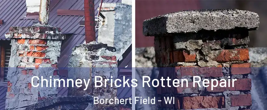 Chimney Bricks Rotten Repair Borchert Field - WI