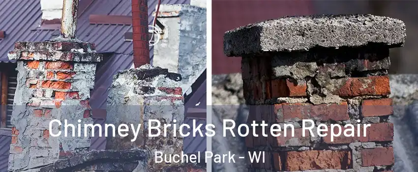 Chimney Bricks Rotten Repair Buchel Park - WI