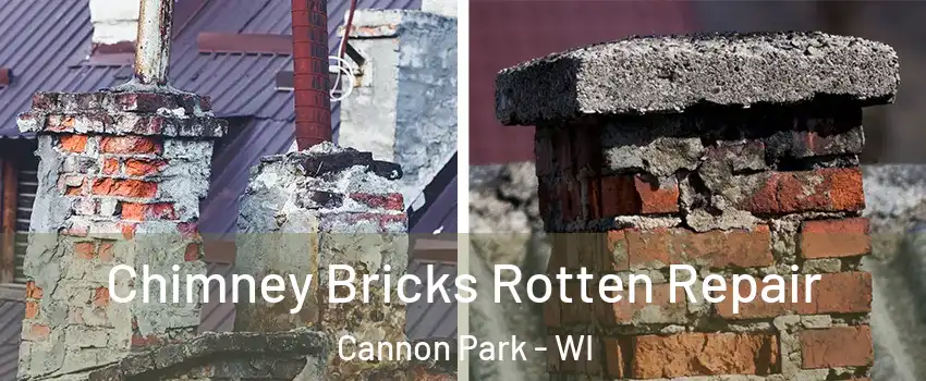 Chimney Bricks Rotten Repair Cannon Park - WI