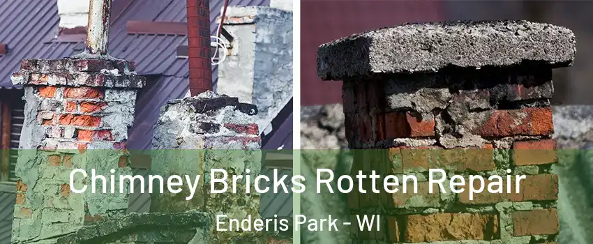 Chimney Bricks Rotten Repair Enderis Park - WI