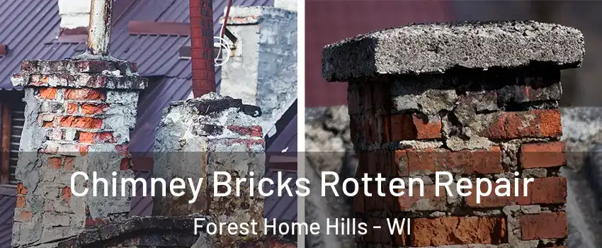 Chimney Bricks Rotten Repair Forest Home Hills - WI