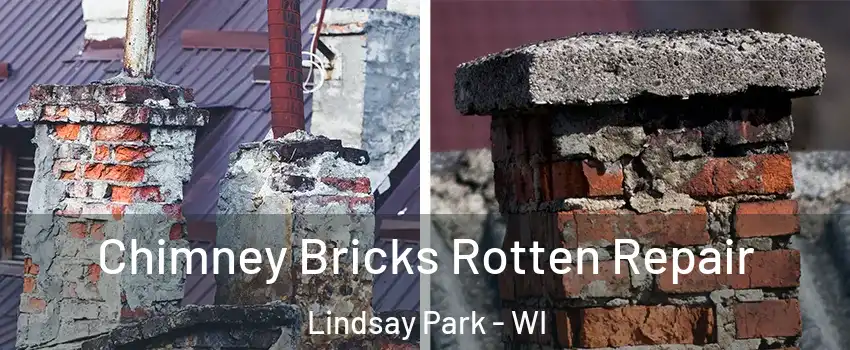 Chimney Bricks Rotten Repair Lindsay Park - WI