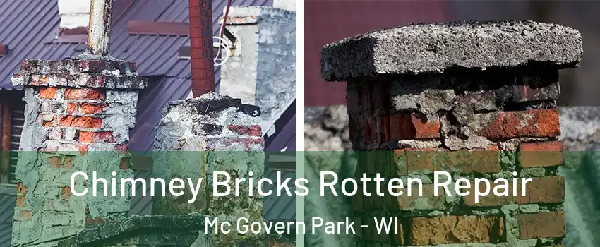 Chimney Bricks Rotten Repair Mc Govern Park - WI