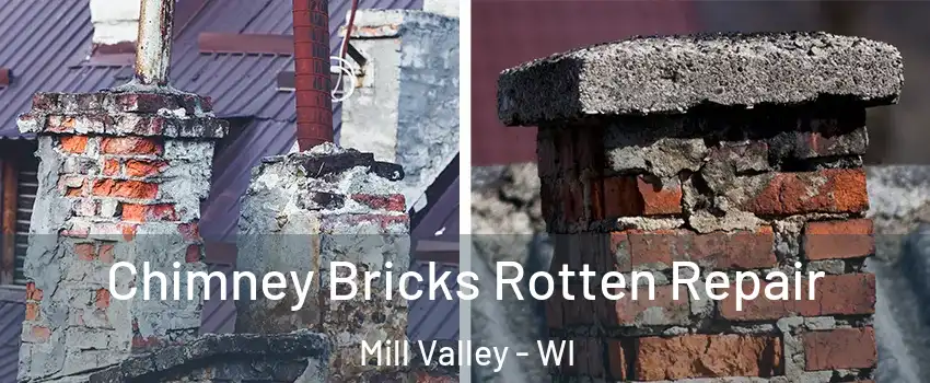 Chimney Bricks Rotten Repair Mill Valley - WI