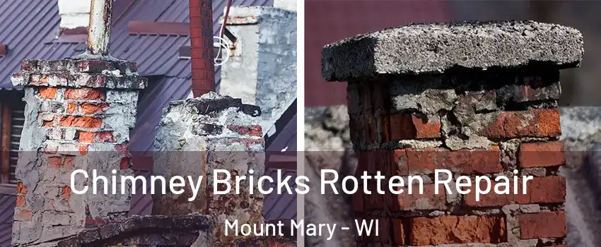 Chimney Bricks Rotten Repair Mount Mary - WI