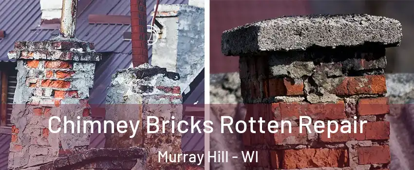 Chimney Bricks Rotten Repair Murray Hill - WI