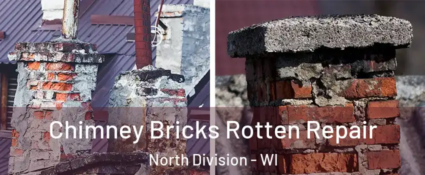 Chimney Bricks Rotten Repair North Division - WI