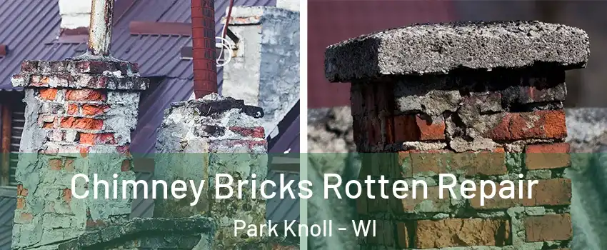 Chimney Bricks Rotten Repair Park Knoll - WI