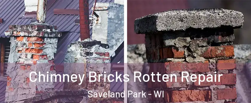 Chimney Bricks Rotten Repair Saveland Park - WI