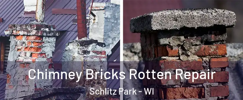 Chimney Bricks Rotten Repair Schlitz Park - WI