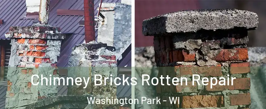 Chimney Bricks Rotten Repair Washington Park - WI