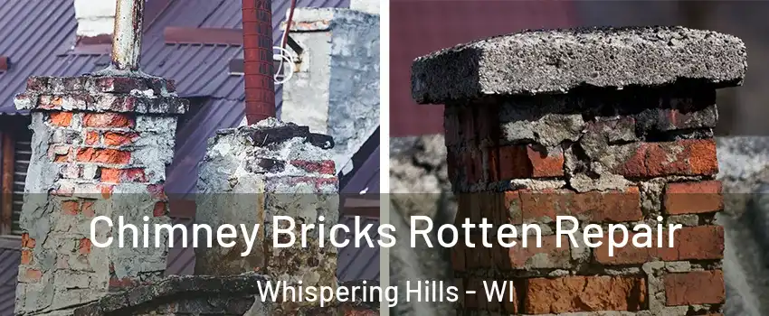 Chimney Bricks Rotten Repair Whispering Hills - WI