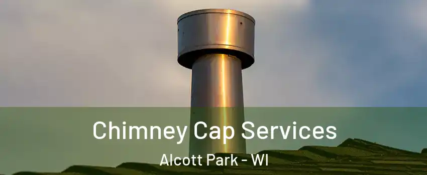 Chimney Cap Services Alcott Park - WI