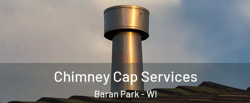 Chimney Cap Services Baran Park - WI