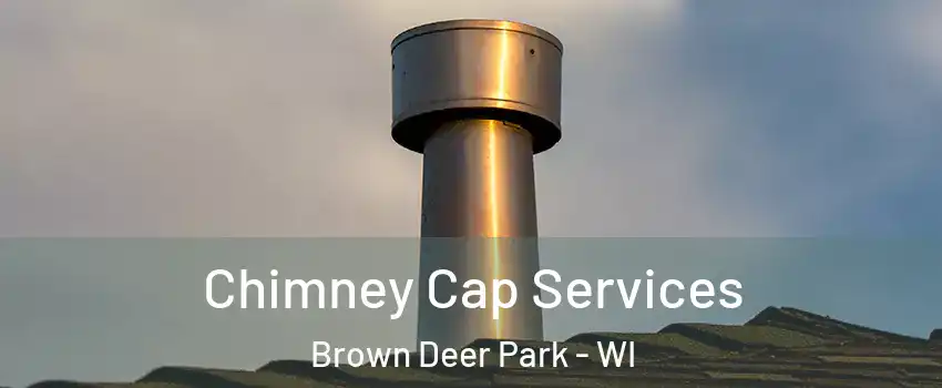 Chimney Cap Services Brown Deer Park - WI