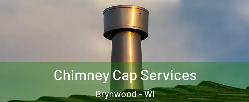 Chimney Cap Services Brynwood - WI