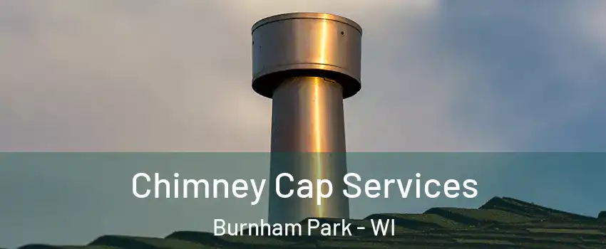 Chimney Cap Services Burnham Park - WI