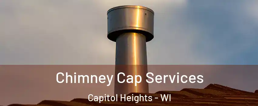 Chimney Cap Services Capitol Heights - WI