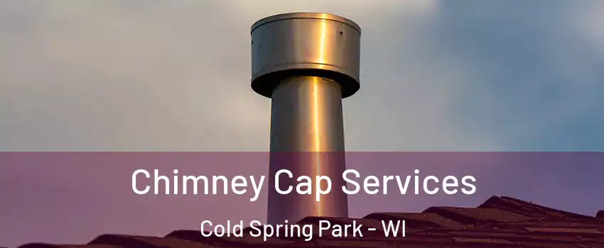 Chimney Cap Services Cold Spring Park - WI