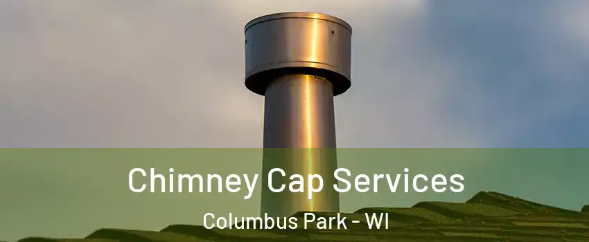 Chimney Cap Services Columbus Park - WI