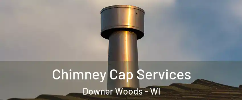 Chimney Cap Services Downer Woods - WI