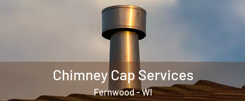 Chimney Cap Services Fernwood - WI