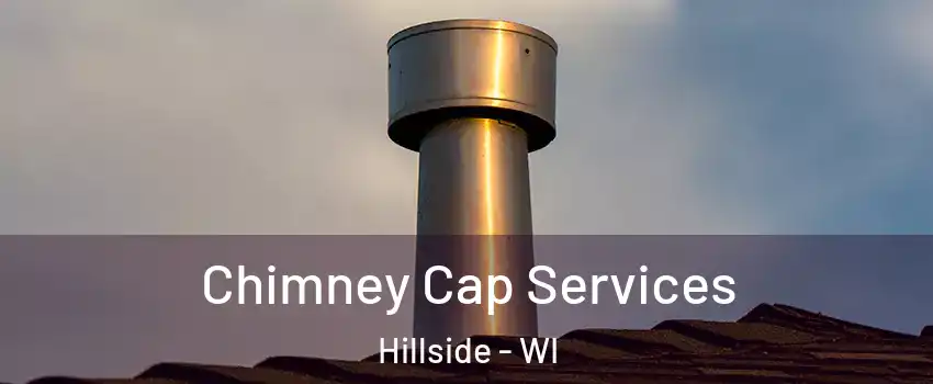 Chimney Cap Services Hillside - WI