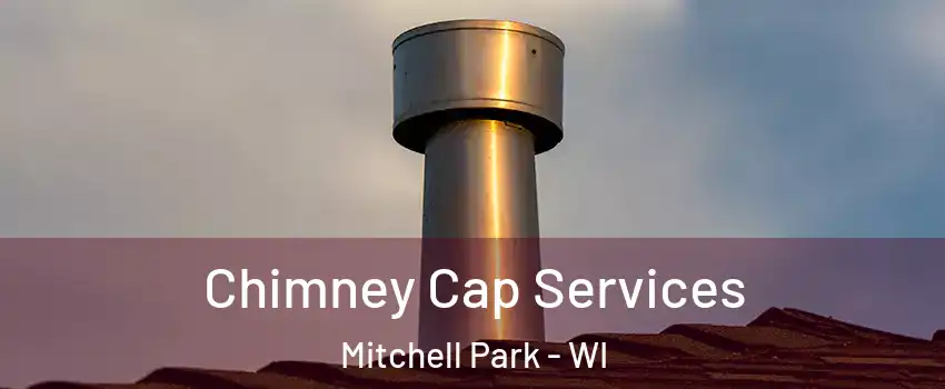 Chimney Cap Services Mitchell Park - WI