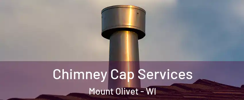 Chimney Cap Services Mount Olivet - WI