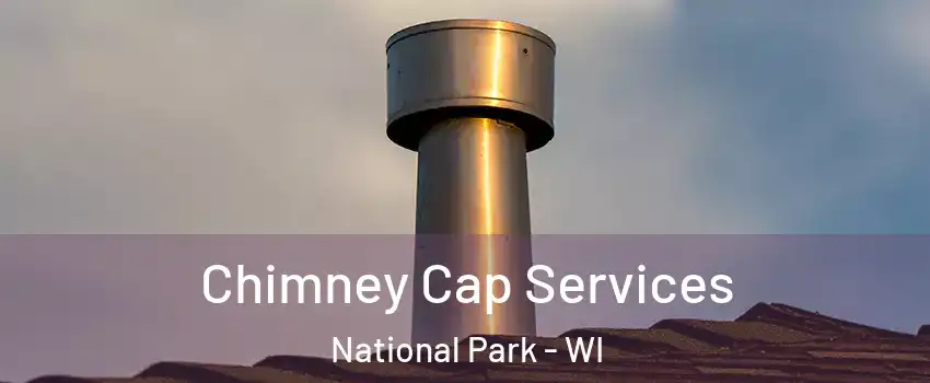 Chimney Cap Services National Park - WI