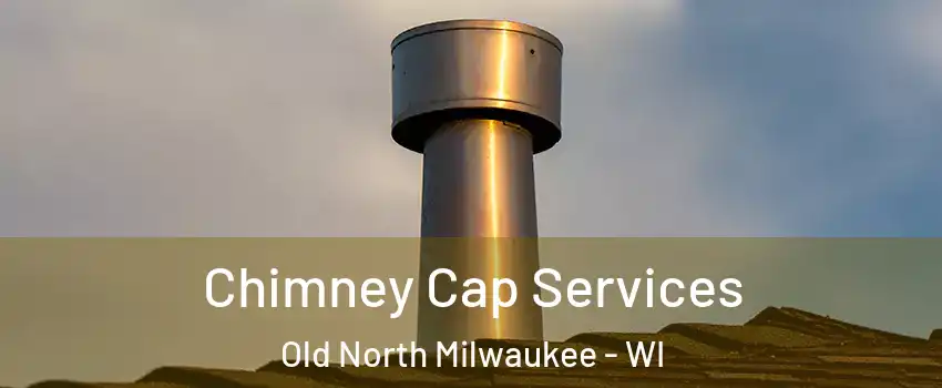 Chimney Cap Services Old North Milwaukee - WI